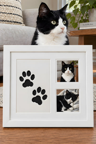 Marco recuerdo blanco con las huellas de un gato, junto a su gato